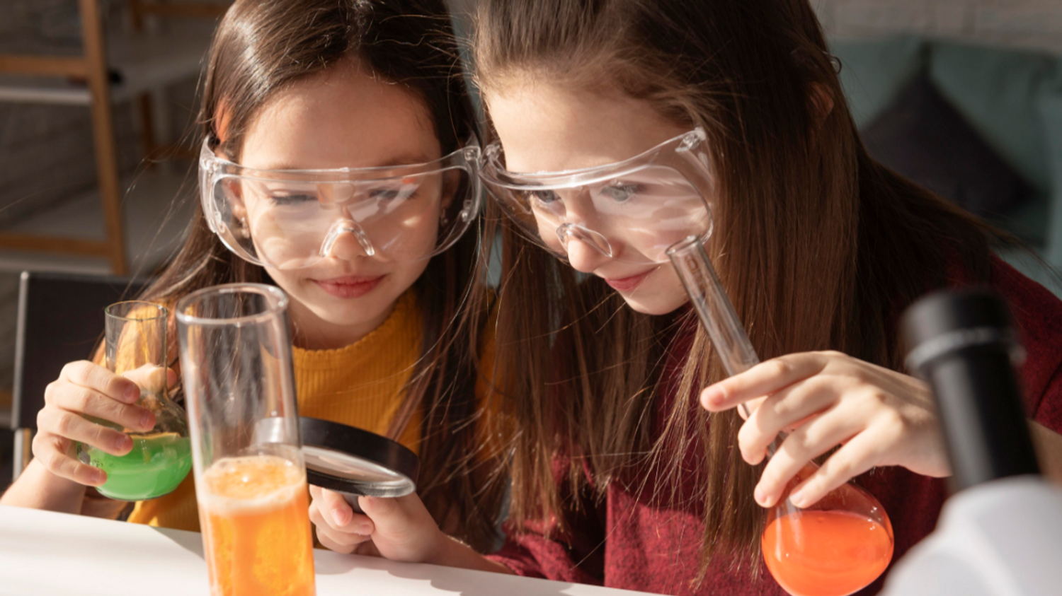 Fête de la Science